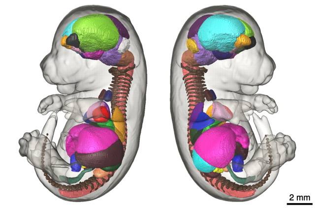 Fig. 3.