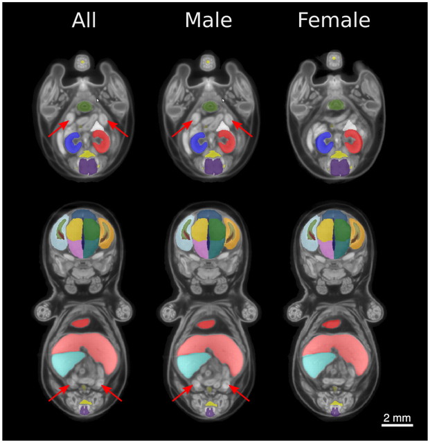 Fig. 9.