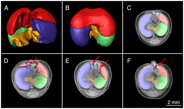 Fig. 8.