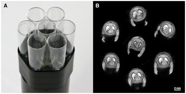 Fig. 7.