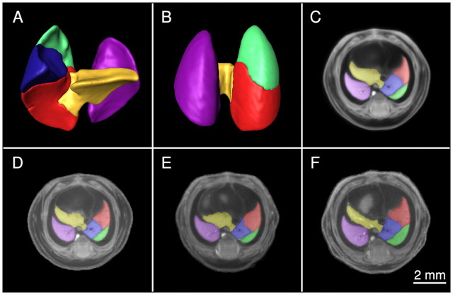 Fig. 5.