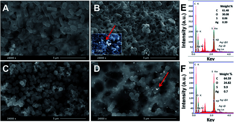 Fig. 7