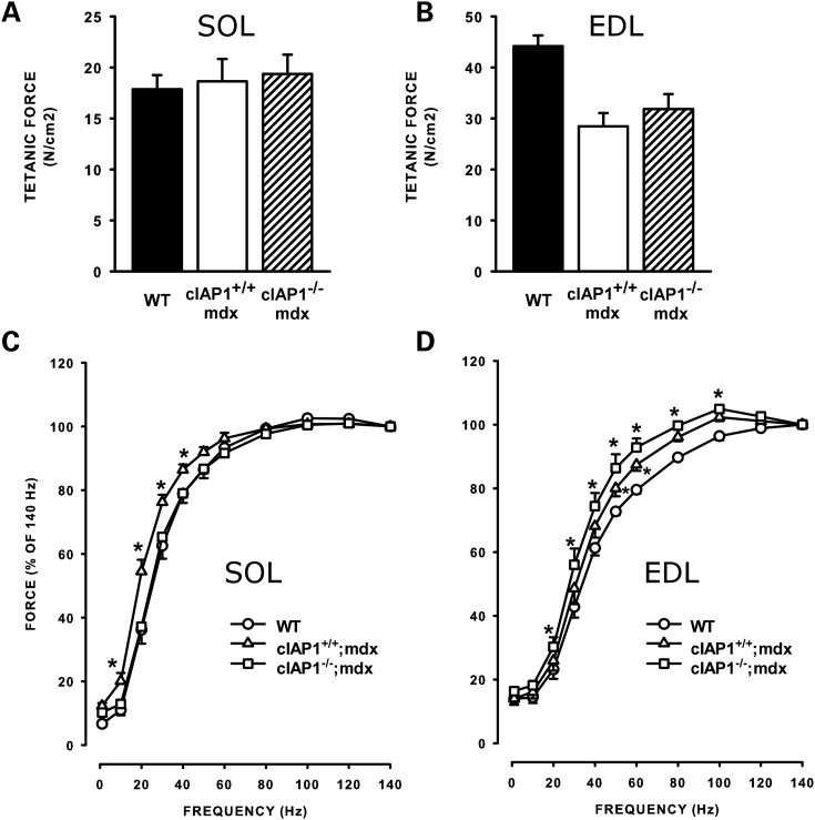 Figure 4.