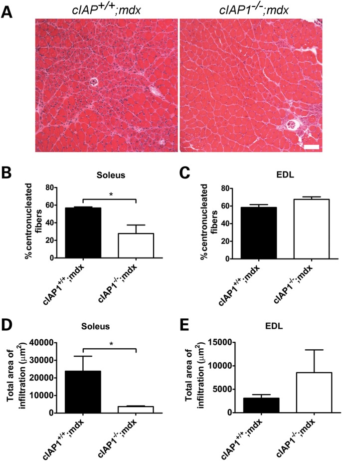 Figure 2.