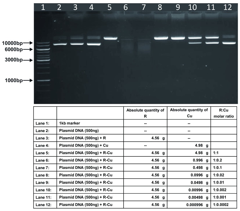 Figure 3. 