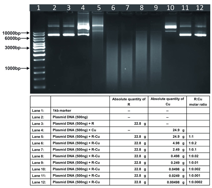 Figure 7. 