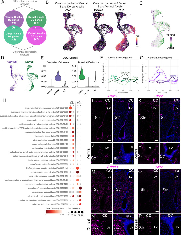 Figure 6—figure supplement 1.