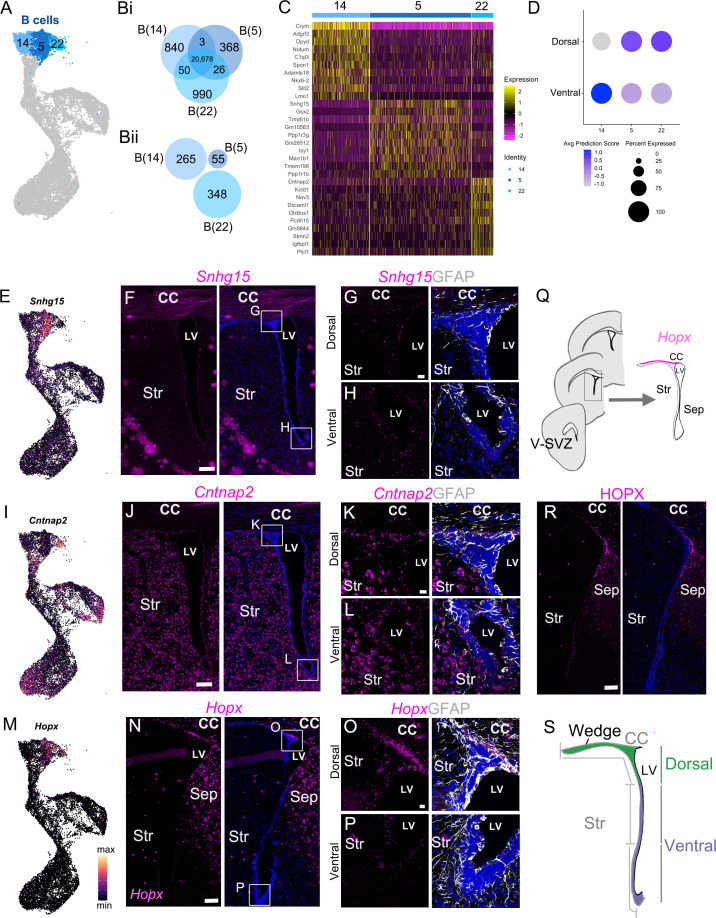 Figure 3—figure supplement 1.