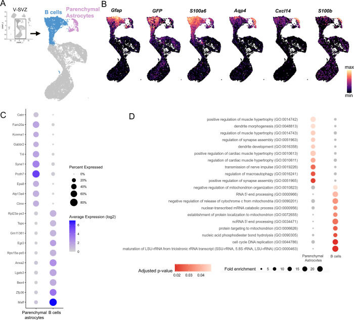 Figure 1—figure supplement 2.