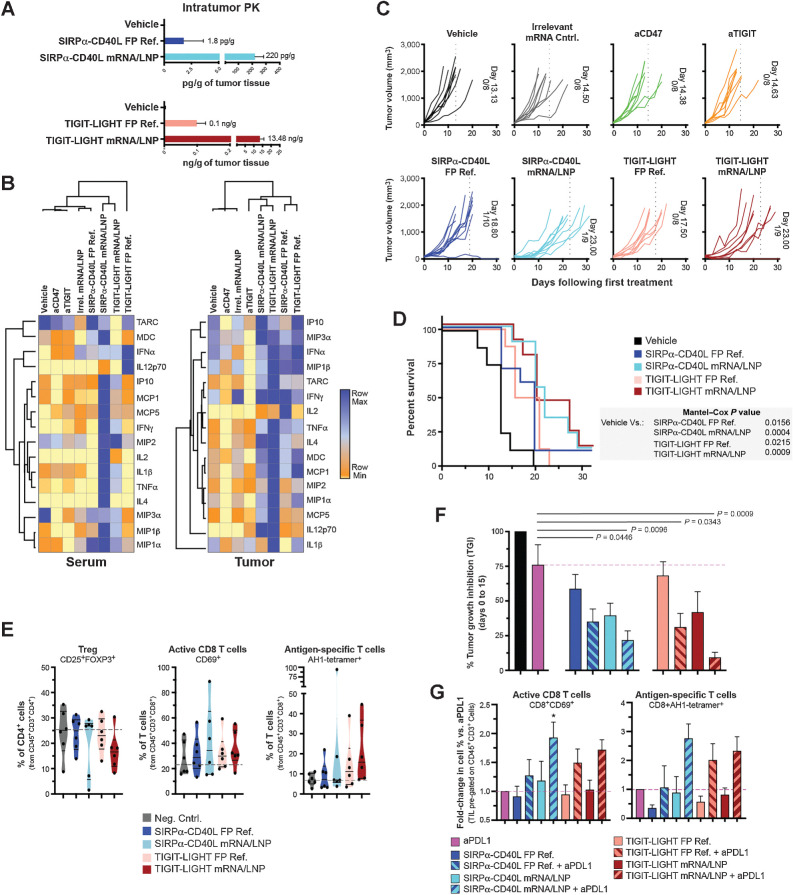 Figure 4. mRNA-encoded fusion proteins detected in the tumor and induced on-target PD activity, antitumor response, and extended survival. A CT26 tumor study was designed to assess the antitumor activity of mRNA/LNP formulated fusion proteins compared with that of the FP ref. material. Mice were inoculated on the hind flank with CT26 tumors and when the tumor volume reached ∼90 mm3, treatment began. FP ref. were given at doses of 200 μg through intraperitoneal injection, mRNA/LNPs at 12.5 μg through intravenous injection, and benchmark antibodies at 100 μg through intraperitoneal injection. Treatments were given on days 0, 3, 7, 10, 14, and 17. One cohort of treated animals was assessed for tumor growth and survival over a 30-day period, and another cohort of animals was euthanized on day 8 of the time course, 24 hours after the day 7 dose, to assess therapeutic protein concentrations within the tumor (A) and average serum and tumor cytokines for treated animals (B). C, Individual tumor growth curves are shown for each treatment group. In addition, the average day in which all animals within a treatment group reached tumor burden is quantitated and shown within each graph, and also depicted as a vertical dotted line. The number of animals in each group and any animals that completely rejected the established tumor are also shown within the graphs. For example, the vehicle-treated group reached tumor burden at an average of 13.13 days; 8 animals were in this group and 0/8 rejected the tumor. D, The Kaplan–Maier graph depicts group survival over the time course and the Mantel–Cox test was used to assess group significance. E, A cohort of animals was euthanized on day 8, 24 hours after the third dose on day 7. Tumors were excised, dissociated, and the immune infiltrate was assessed by flow cytometry. Truncated violin plots depict the median, first, and third quartiles. F, Combination efficacy of FP and mRNA therapeutics was assessed with anti-PDL1 (clone 10F.9G2), which was delivered at doses of 200 μg alone or in the combinations shown on days 0, 3, 7, 10, and 14. Tumor growth inhibition on day 15 of the time course is shown in comparison with the vehicle control group and significance between groups was calculated using unpaired t test. G, A cohort of treated animals from the combination study was euthanized on day 8, 24 hours after the third dose on day 7. Tumors were excised, dissociated, and the immune infiltrate was assessed by flow cytometry. Cell populations were normalized to those of the anti-PDL1 monotherapy (set at a value of 1) group to visualize the contribution of each combination. *, P < 0.05.