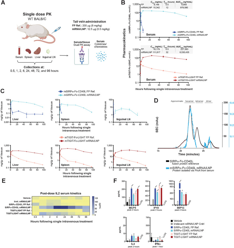 Figure 3. mRNA-encoded fusion proteins were generated in vivo as hexameric proteins and demonstrated extended serum and tissue exposure kinetics. A, Mice were given a single dose through tail vein of 200 μg of the FP ref., 12.5 μg of the corresponding mRNA/LNP formulation, or vehicle. B and C, After 0.5, 1, 2, 6, 24, 48, 72, and 96 hours, serum (B) and liver, spleen, and iLNs (C) were collected from each animal (n = 3 per group, per time point), and PK was assessed using MSD assay formats that captured one end of the fusion protein and detected the other. D, Serum was collected from mRNA/LNP-treated mice, pooled, and purified using a single-step ProA capture and elute method. The resulting protein was analyzed using SEC alongside of an existing human SIRPα-Fc-CD40L FP ref. control. E, Serum cytokines were assessed in nontumor bearing mice over the entire time course, including the kinetic increase in IL2 over a 96-hour period. F, Other cytokines were more transiently increased, usually within 1 to 2 hours of the treatment. *, P < 0.05; **, P < 0.01; ****, P < 0.0001. (A, Created with BioRender.com.)