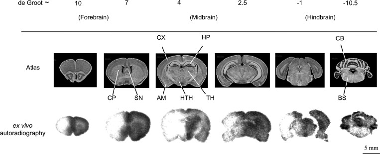 Fig. 3.