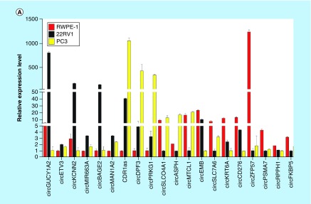 Figure 3. 