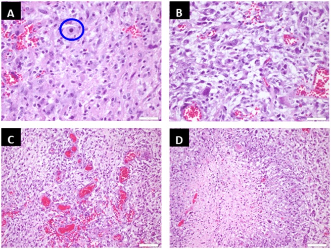 FIGURE 2.