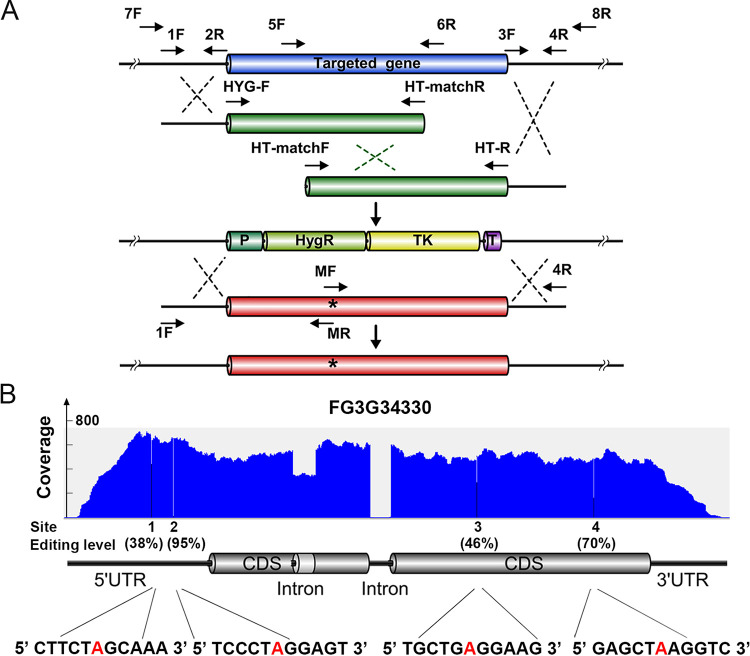 FIG 2