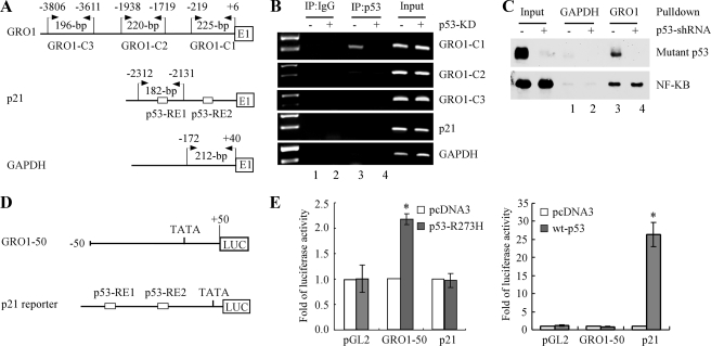 FIGURE 4.