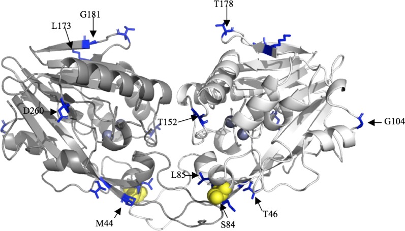 Fig. 3