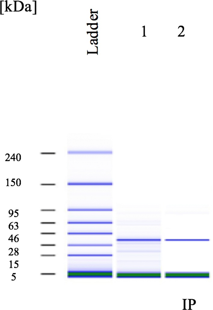 Fig. 4