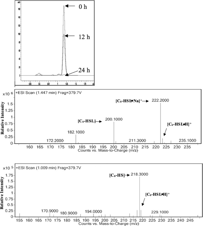 Fig. 5