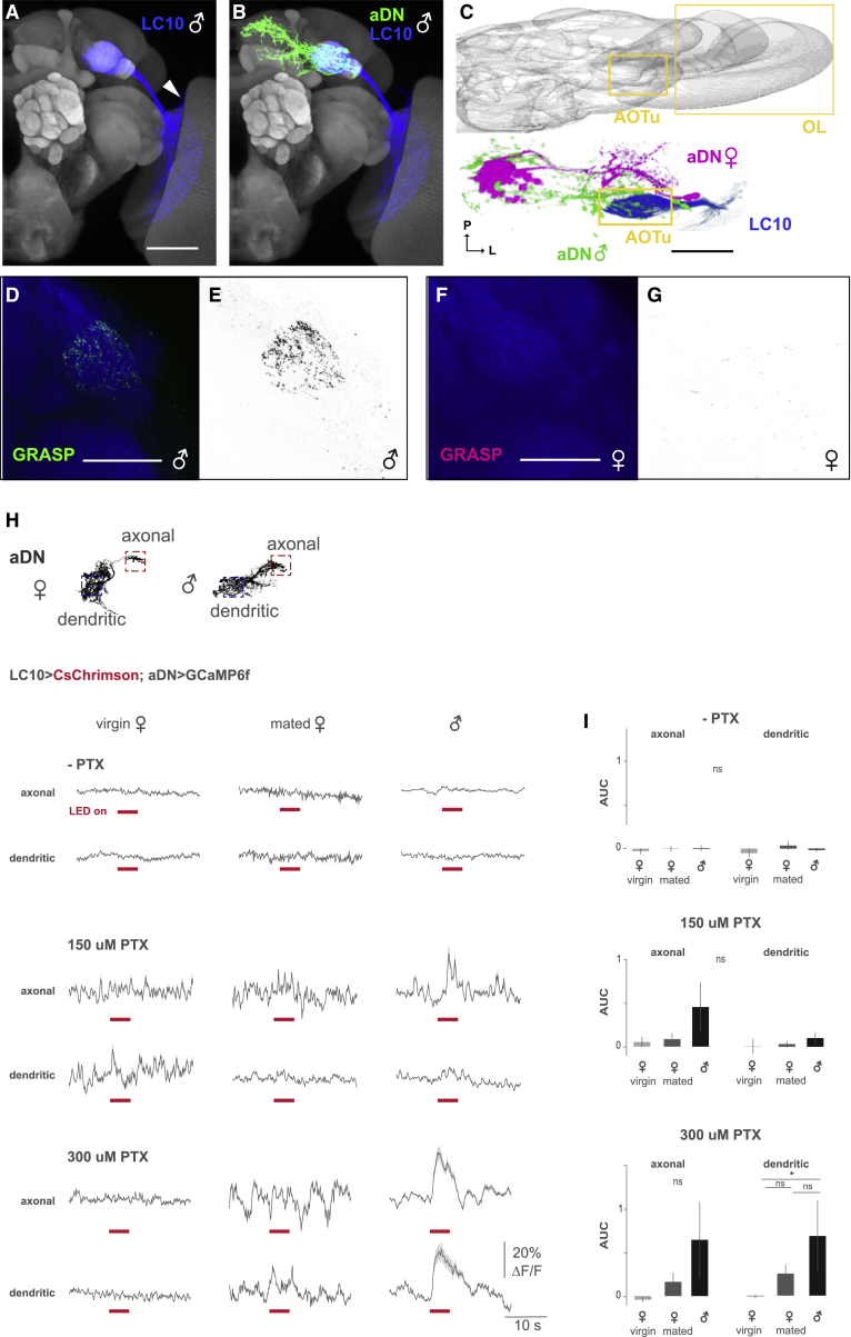 Figure 3