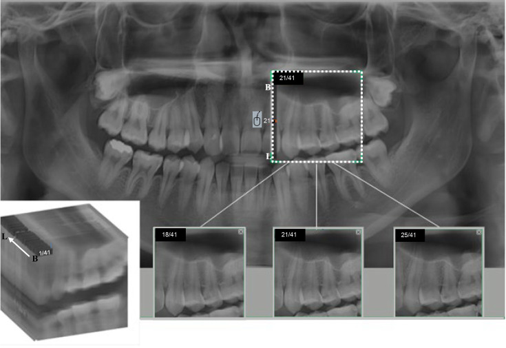 Figure 1.