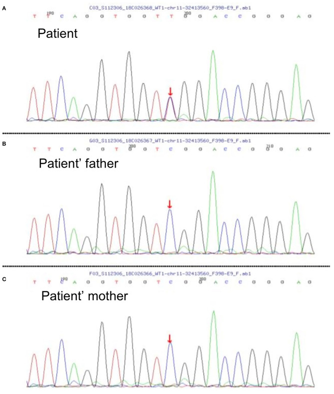 Figure 2