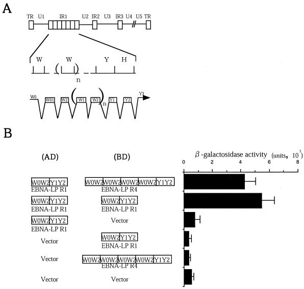 FIG. 1.