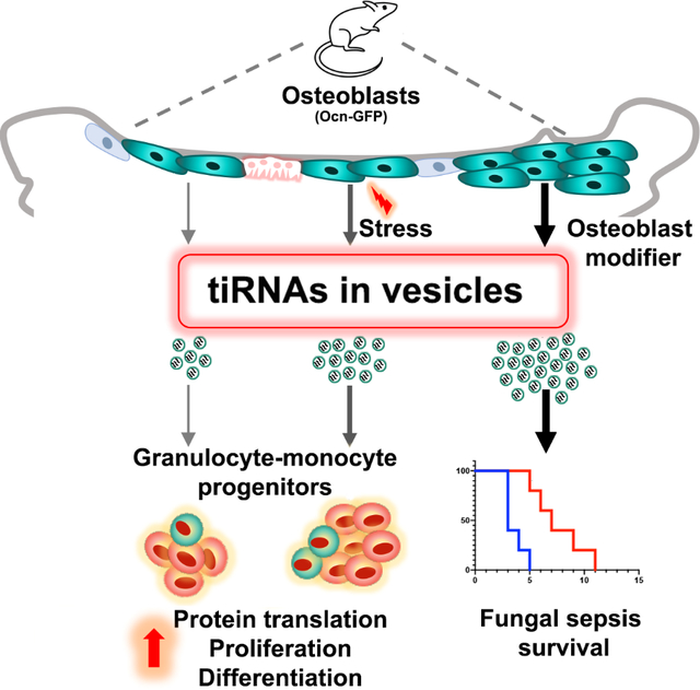 graphic file with name nihms-1737153-f0001.jpg