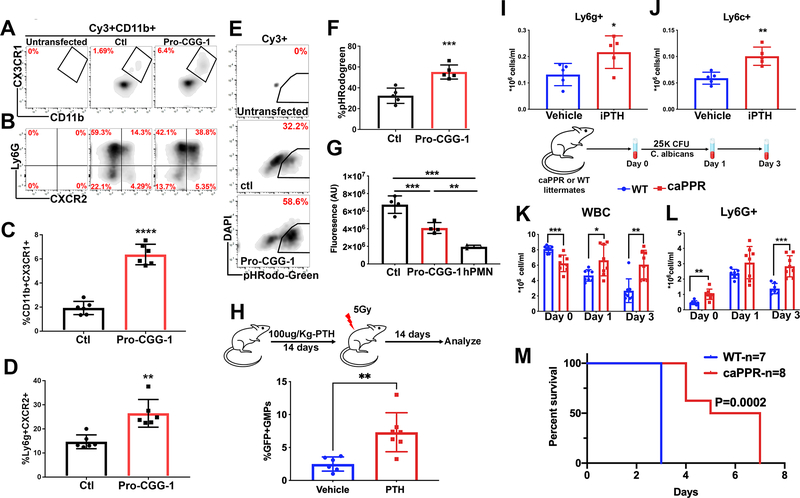 Fig. 6: