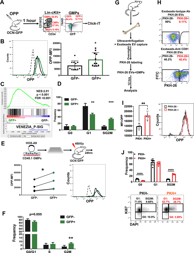 Fig. 4: