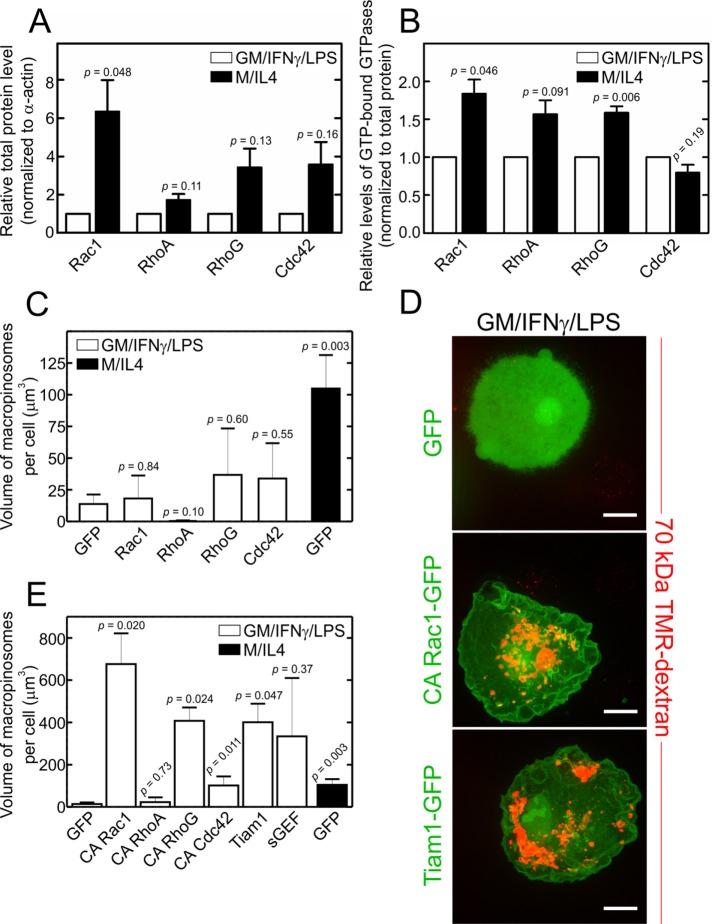 FIGURE 4: