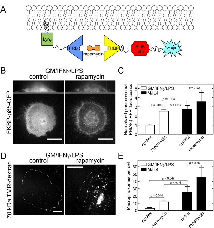 FIGURE 6: