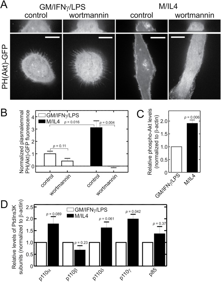 FIGURE 5: