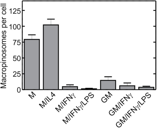 FIGURE 3: