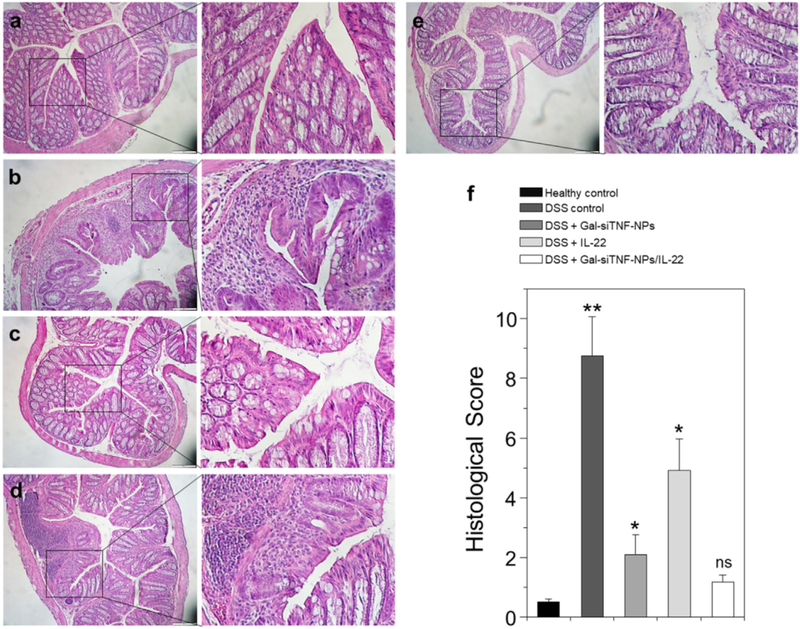 Fig. 9.