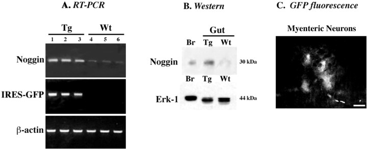 
Figure 10.
