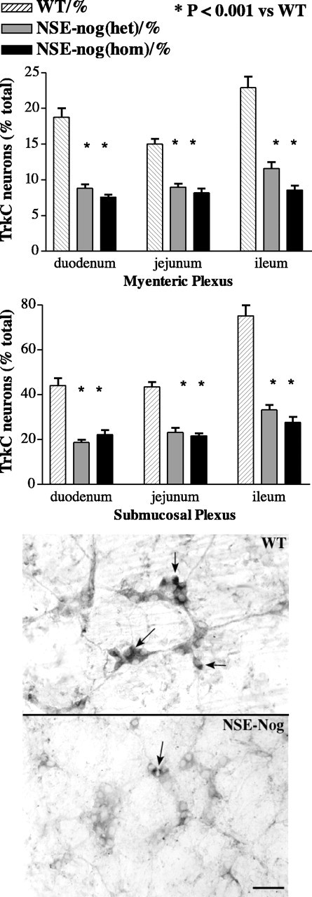 
Figure 12.
