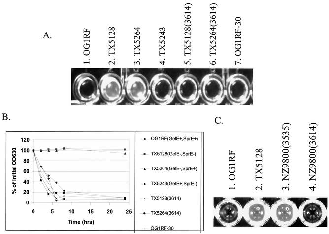 FIG. 6.