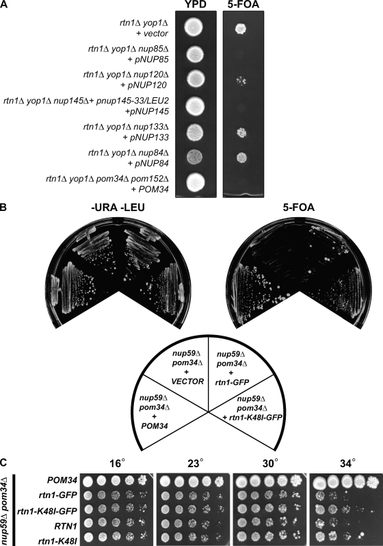 Figure 6.