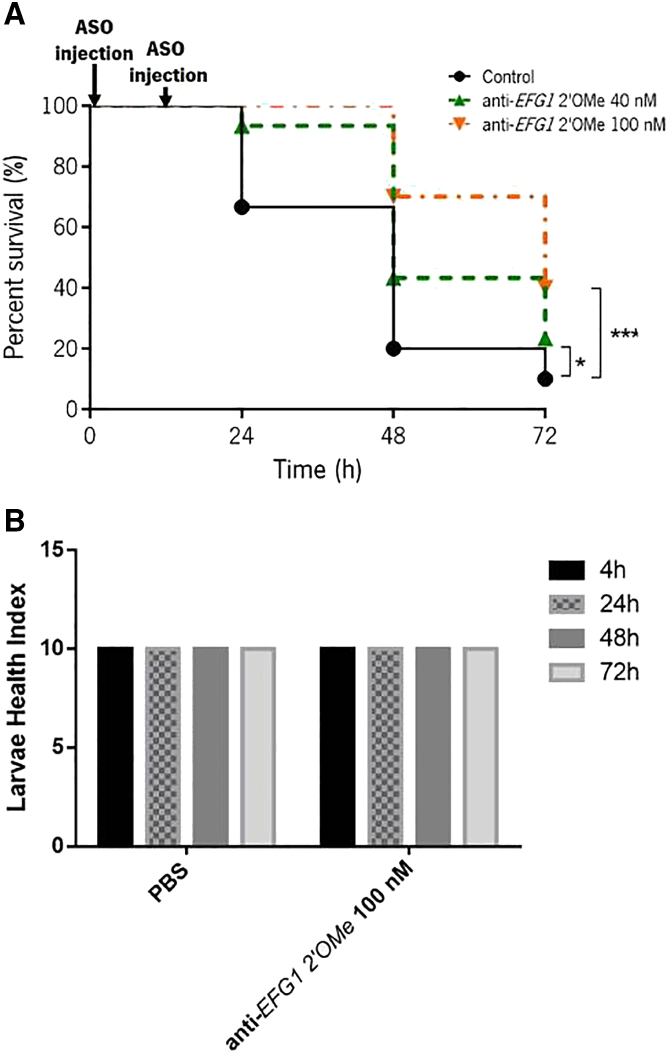 Figure 3