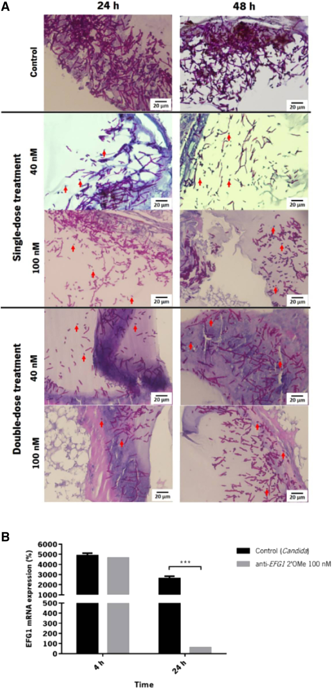 Figure 4