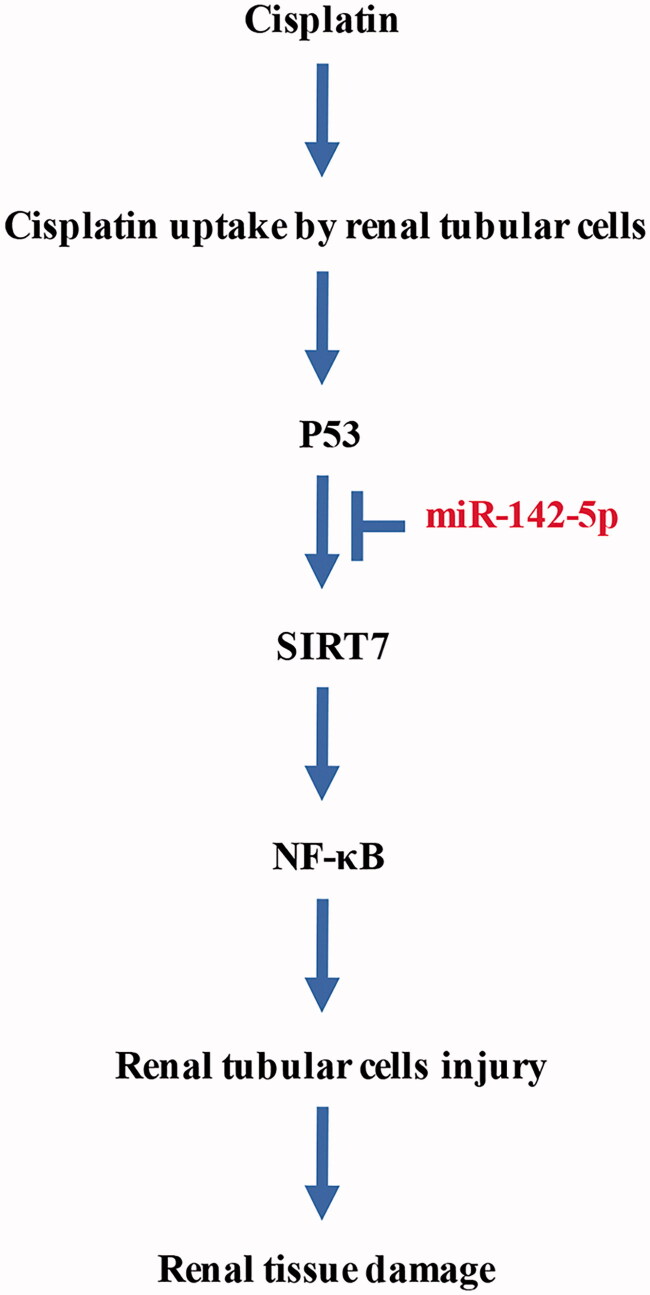 Figure 10.