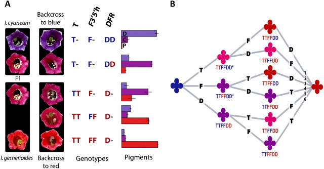 FIG. 7.