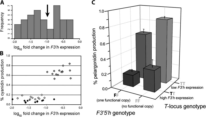 FIG. 6.