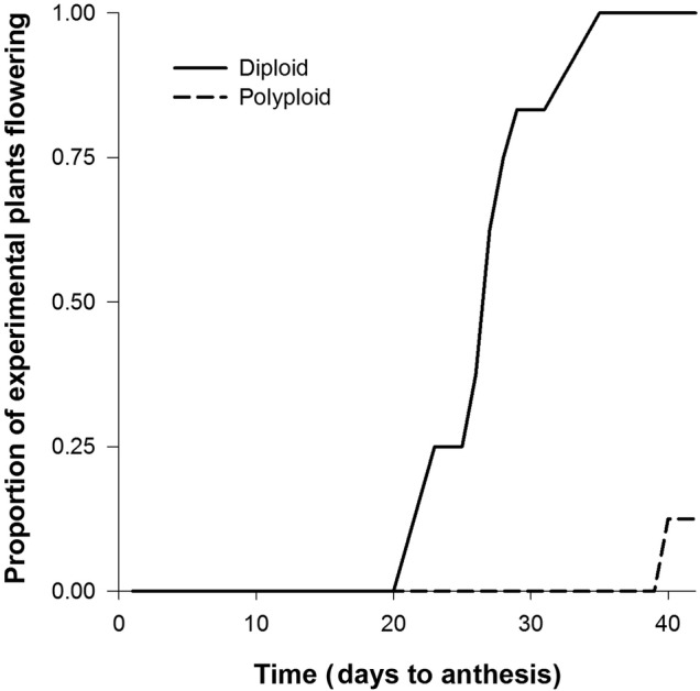 Figure 5.