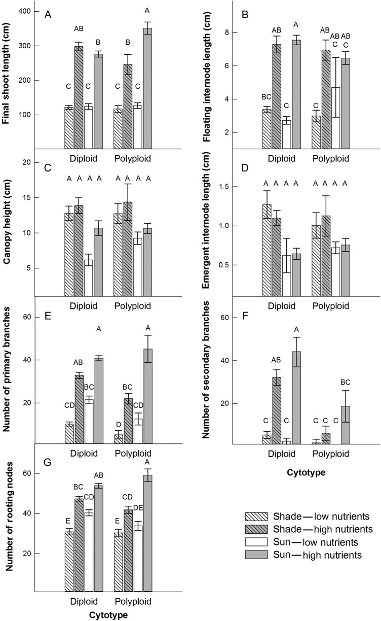 Figure 2.