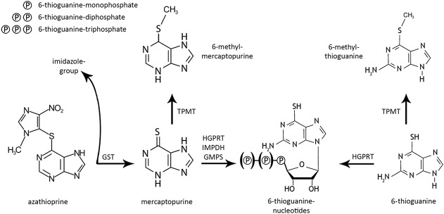 FIGURE 1.