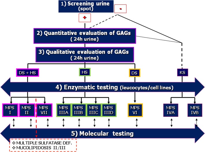 Fig. 2