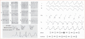 Figure 5: