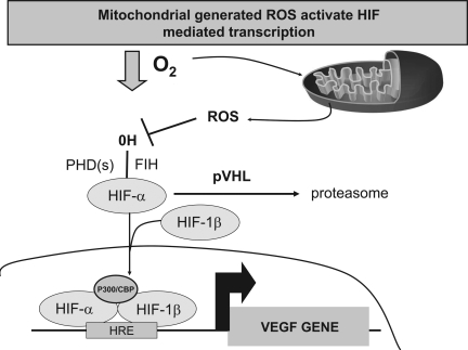 FIG. 6.